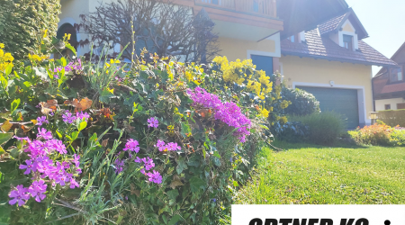 Haus-Bilder
