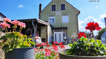 Haus-Bilder